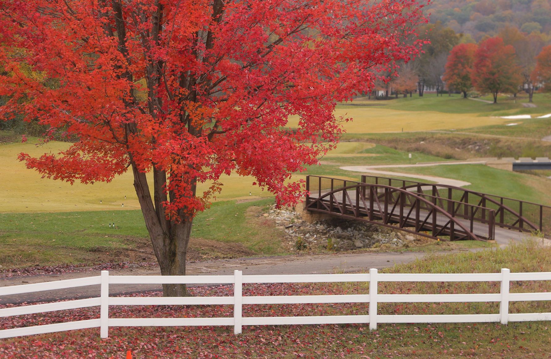 Fall Arrives in the St. Louis region
